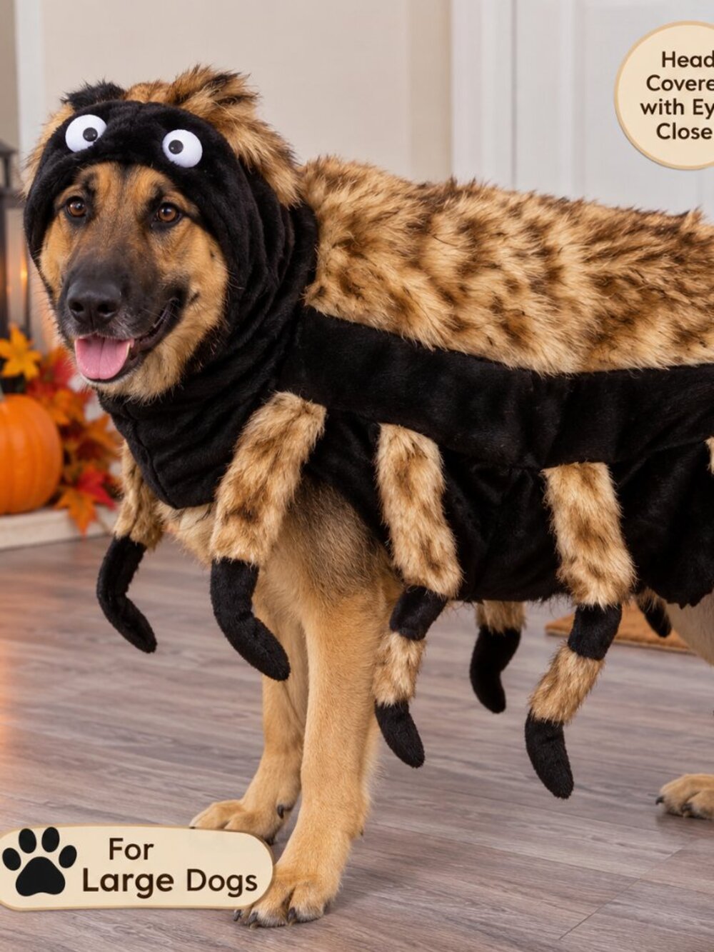 Zack & Zoey Fuzzy Tarantula Costume for Large Dogs Black & Brown